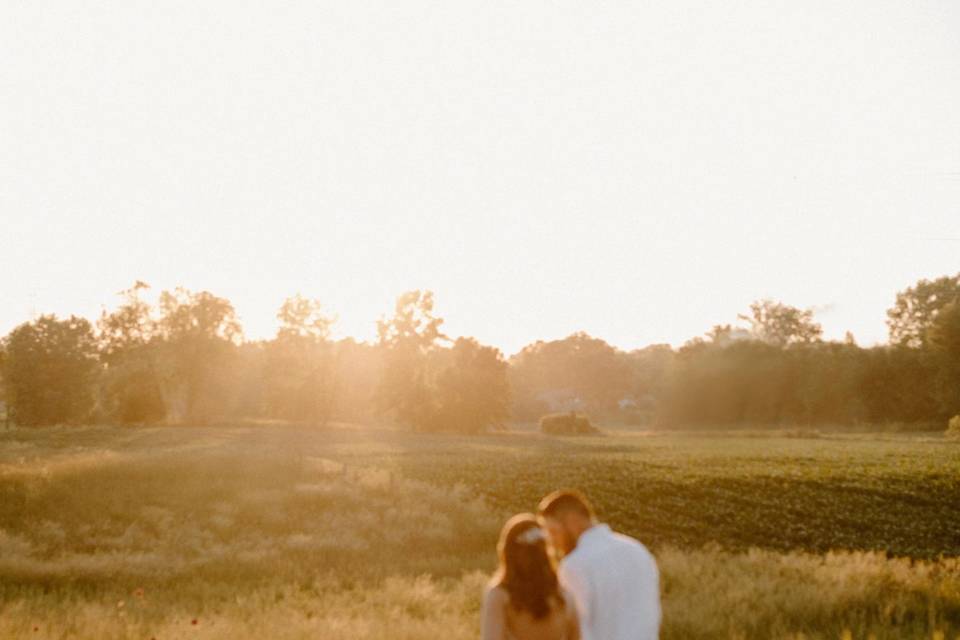 Wedding Day