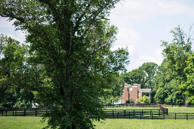 Hermitage Farm
