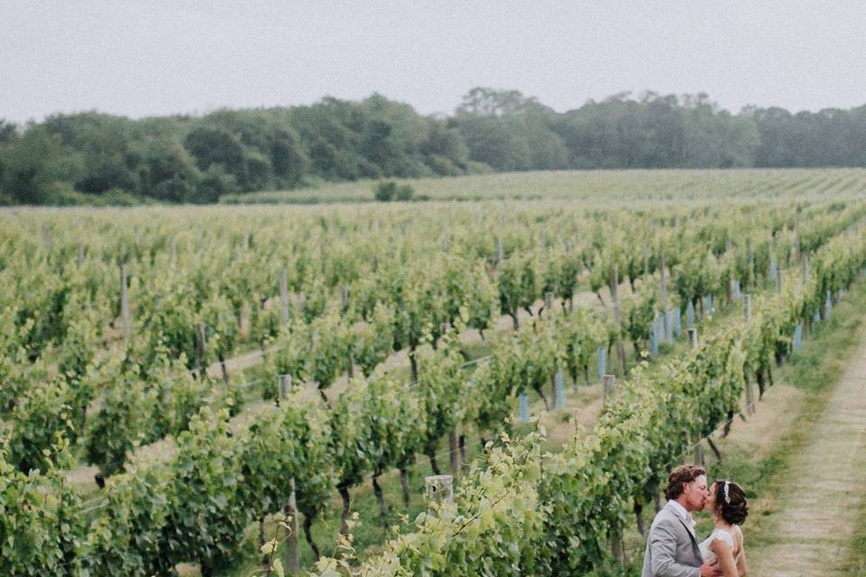 At the winery June 2017, Eager Hearts Photo