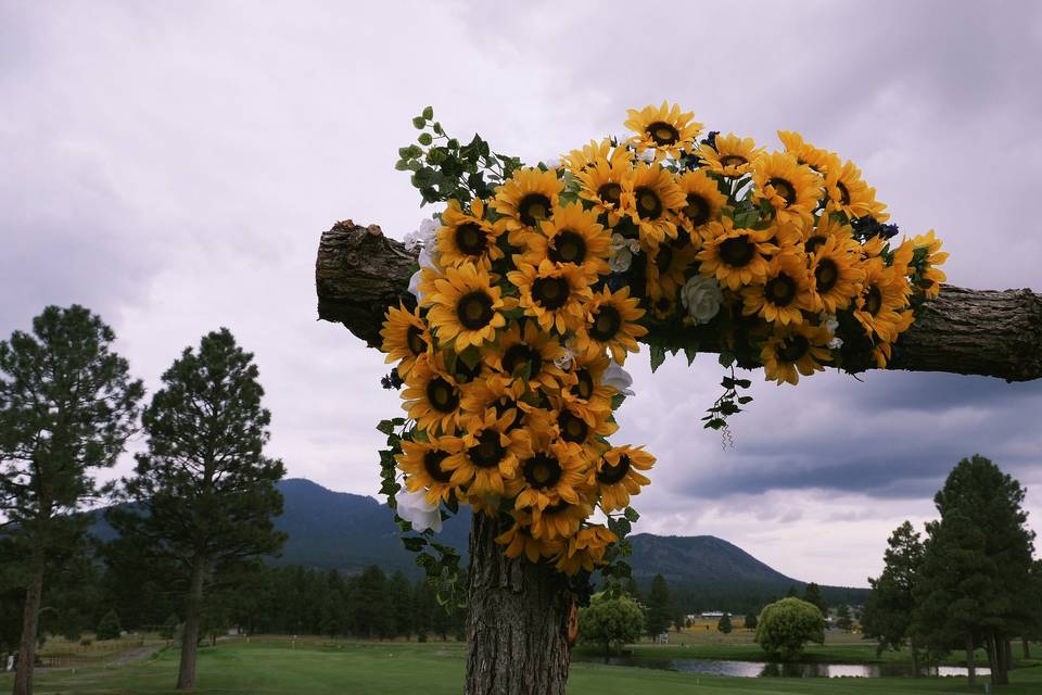 Arizona Wedding Video