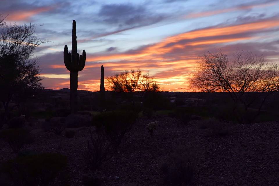 Arizona Wedding Video