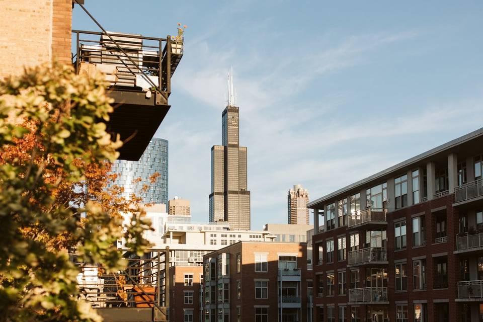 Terrace Views