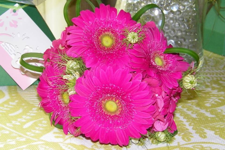 Pink Petunia Designs