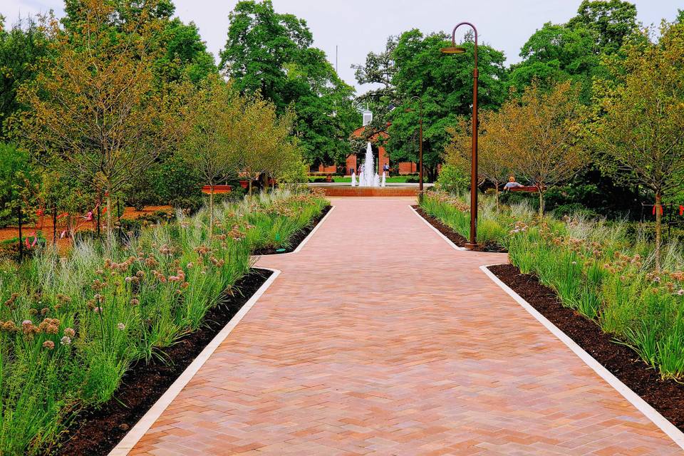 Path toward fountain