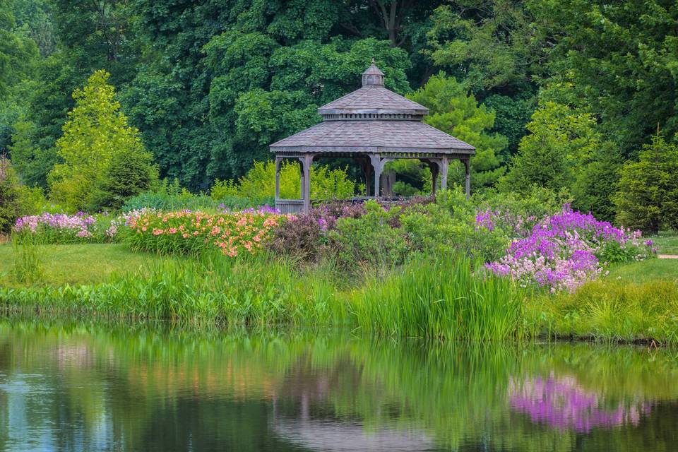 Pond Garden