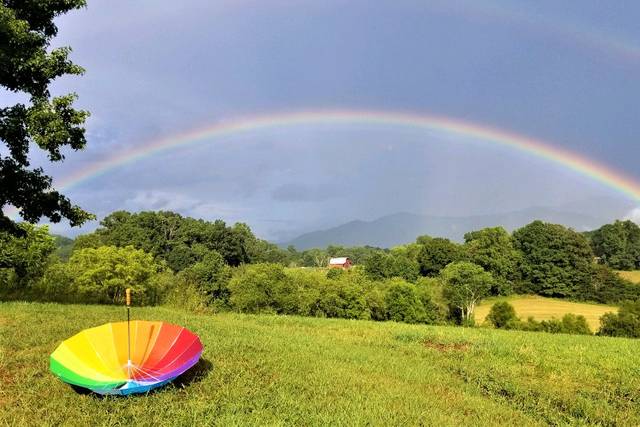 Double Rainbow Back Field