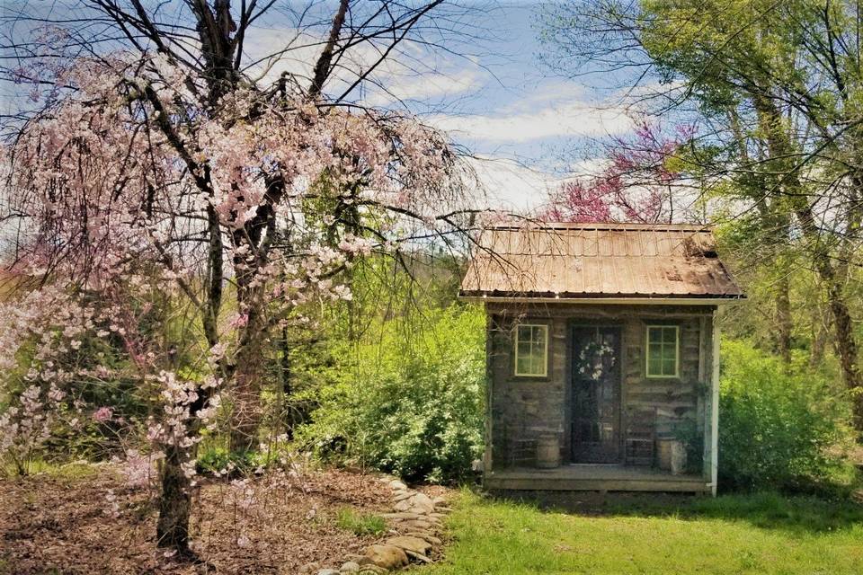 Cute Backdrop Potting House