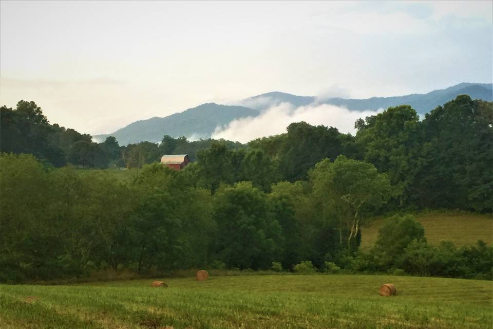 Back Field Mountains