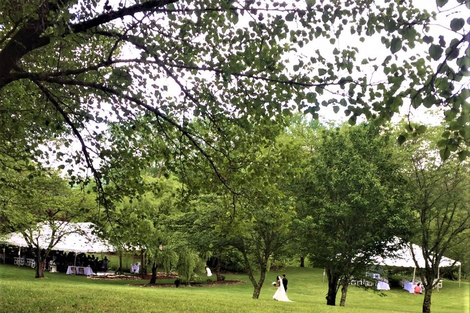 Ceremony and Reception Tent