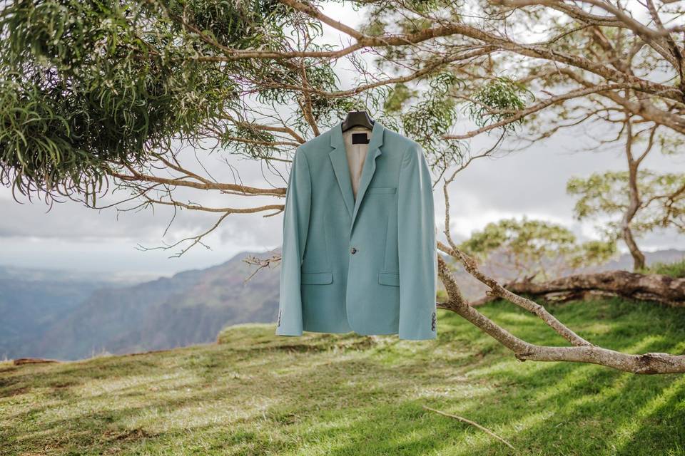 Blue suit jacket hanging from a tree
