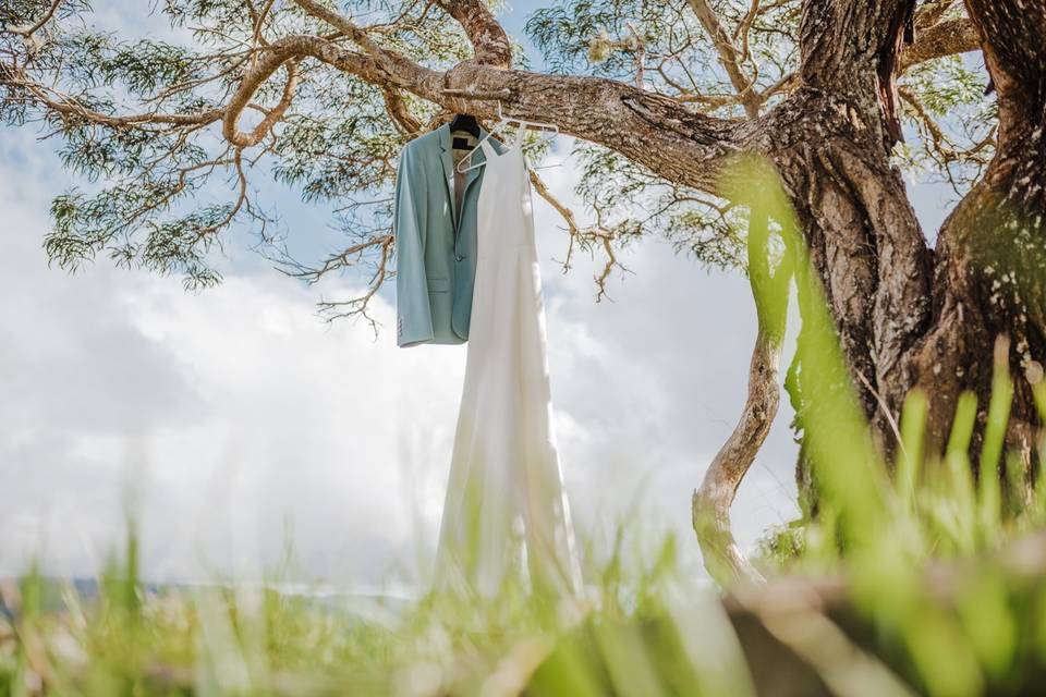 Wedding attire hanging from a tree