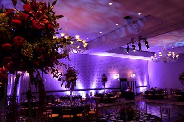 Don't forget the ceiling!  Here we projected a soft, vintage feel, along with creative focus on the couple's uplighting, to make this hotel ballroom anything but dull!