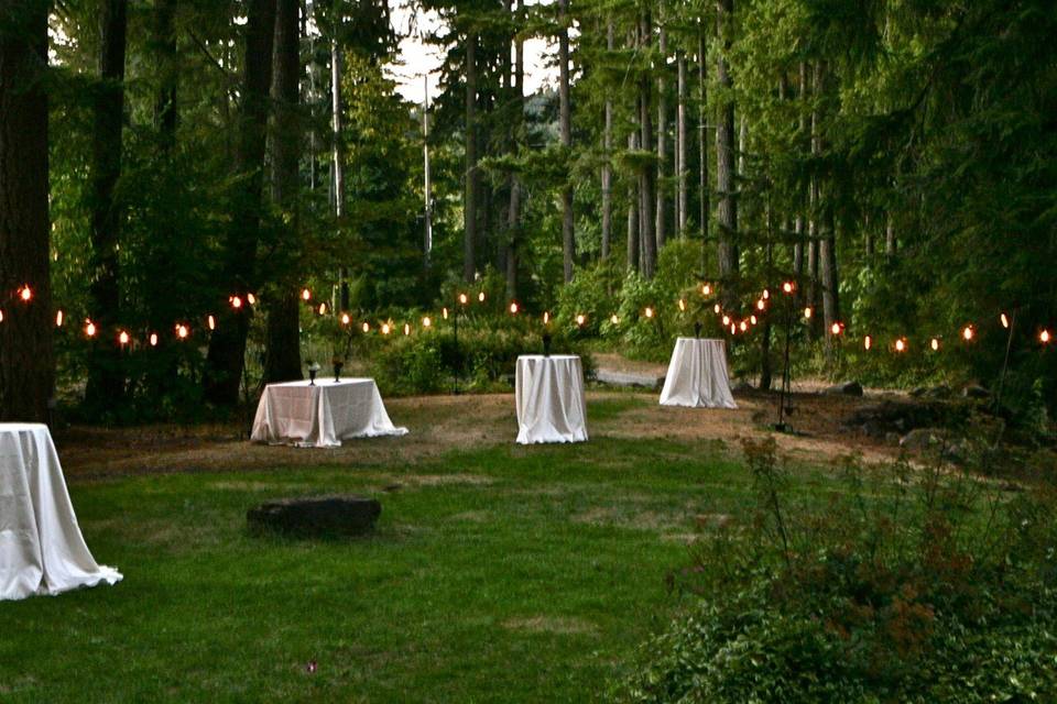 Cafe strings don't always have to go overhead, we used 6 foot tall shepherd's hooks to create a space surround for this cocktail hour area just outside our couple's ceremony venue.