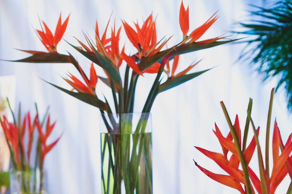 Don't forget your florals and themes!  This fantastic tropical-themed head table popped with vibrant colors, and a soft gobo projection on the table top as well as creative projections on the back drape.