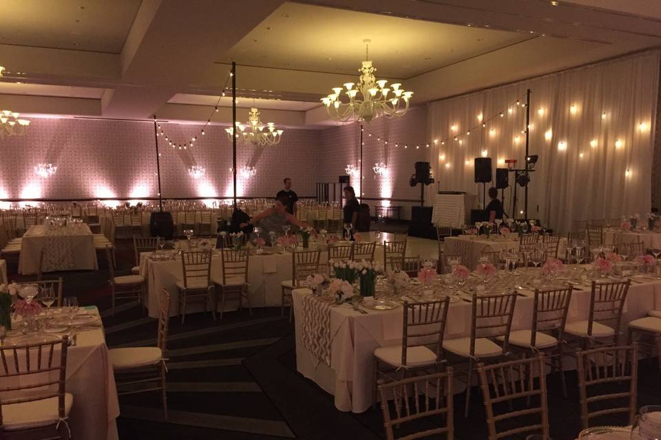 Our bride carefully chose her favorite vintage Edison bulbs, and we painstakingly matched her preferred blush pink for the uplighting--something we do for every event!