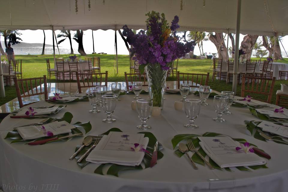 Avid Events Hawaii By Pamela