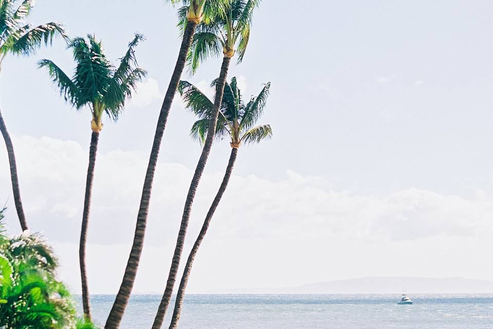 Avid Events Hawaii