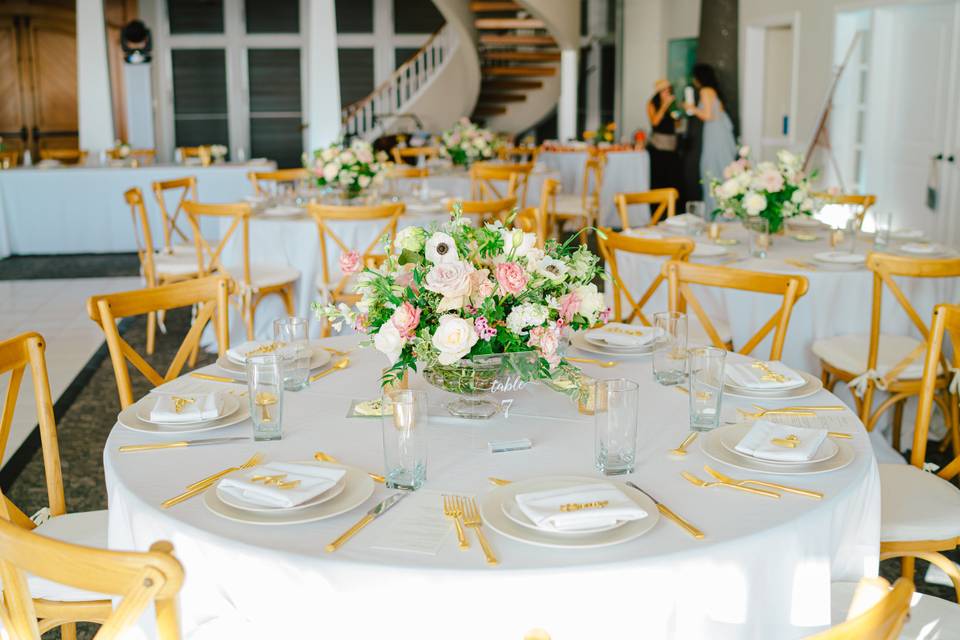 Avid Events Hawaii