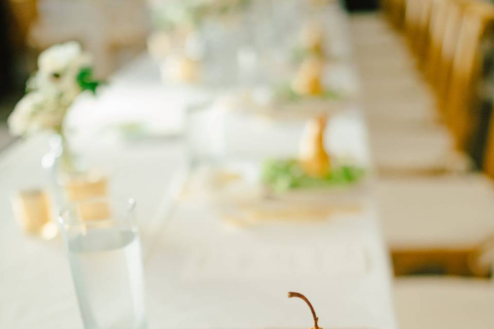 Avid Events Hawaii