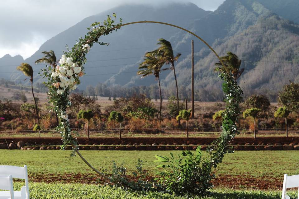Avid Events Hawaii