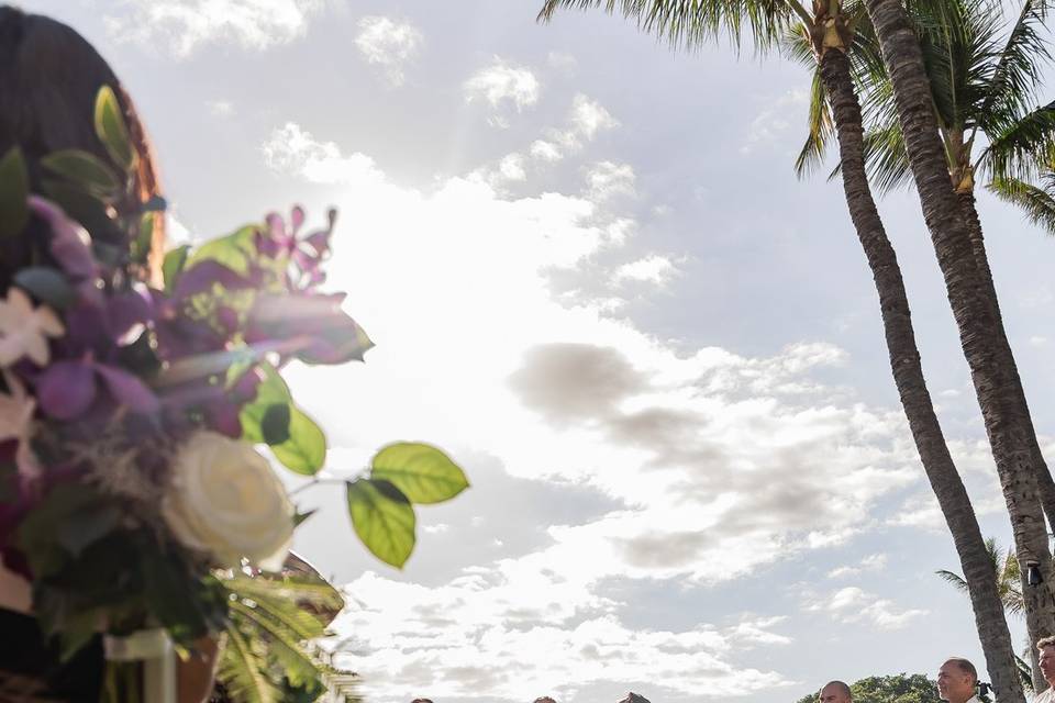 Avid Events Hawaii