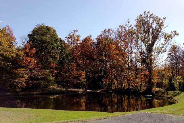 The lake