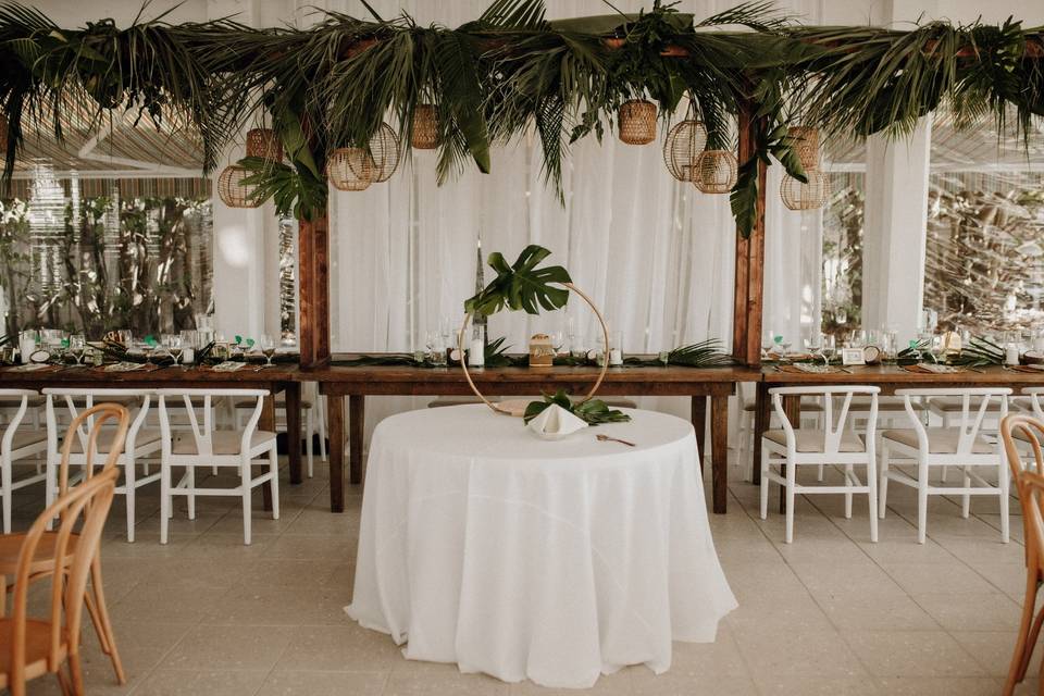 Palms