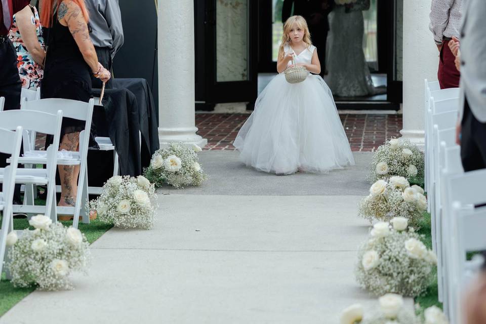 Babys breath