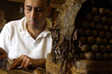 Cigars in the making