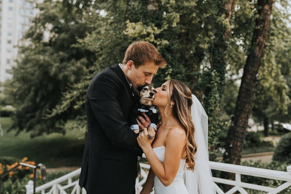 Dog ring bearer