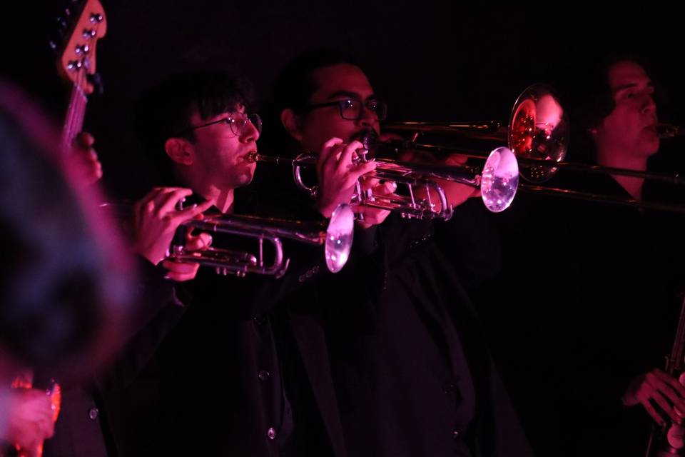 Horn section