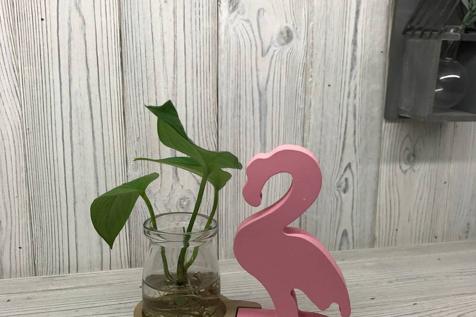 Flamingo hydroponic