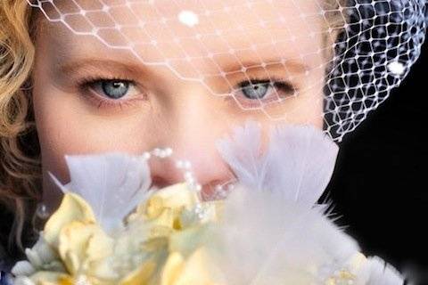 Vintage Style Dotted Bird Cage Veil
