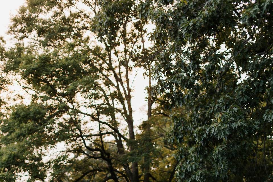 Photo by Mal McCrea