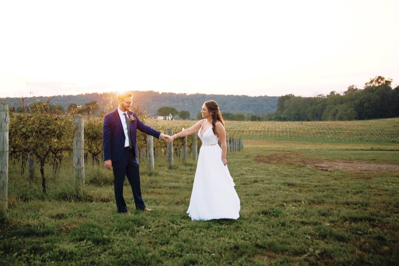 Cork & Banner Films - Videography - Washington, DC - WeddingWire