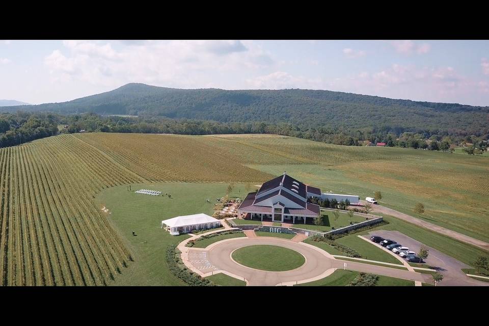 Big Cork Vineyard Drone