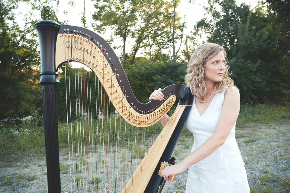 The harp is surprisingly portable!