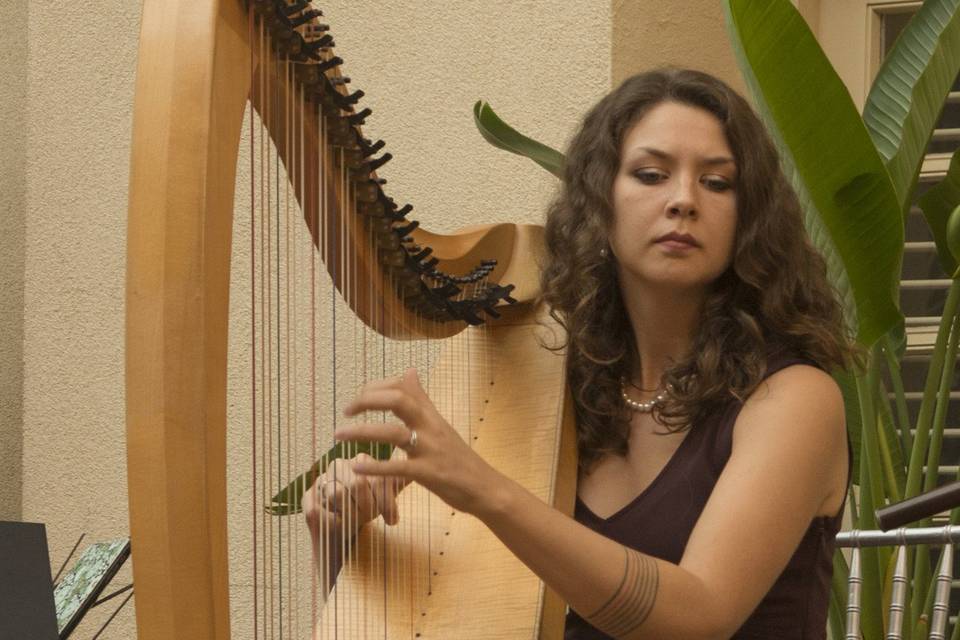 Celtic harp