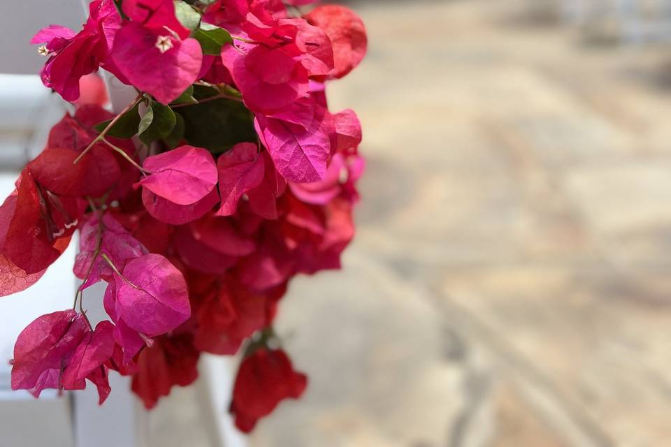 Bougainvillea Ceremony