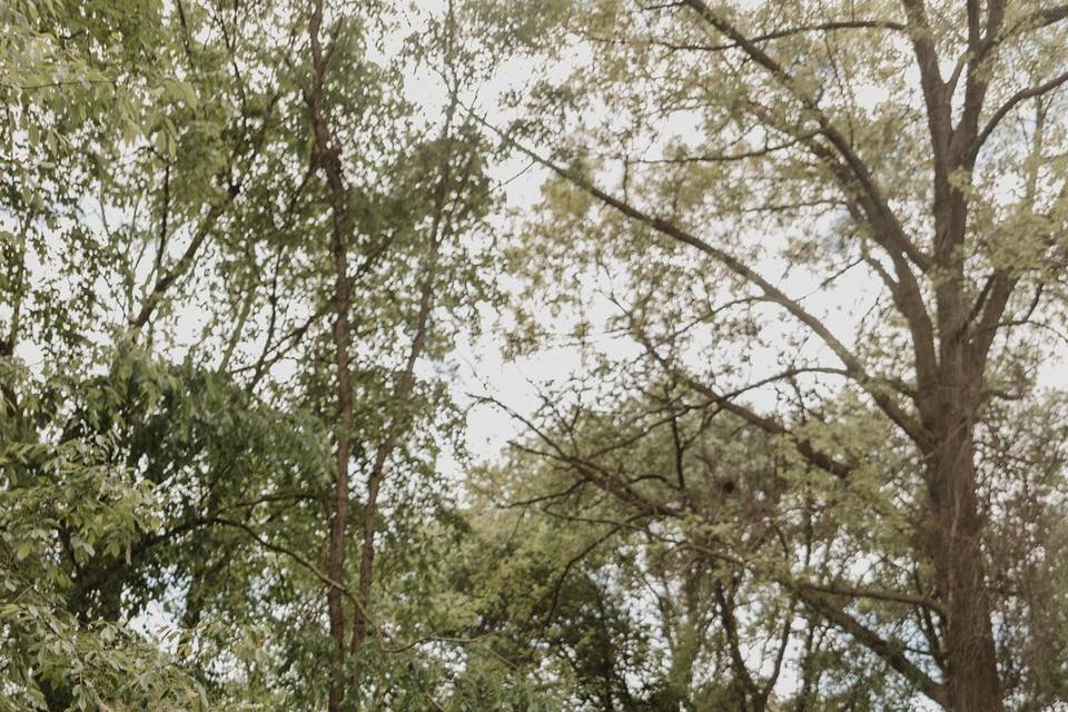 Vintage backyard wedding