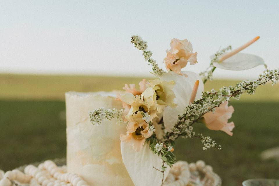 Flint hills elopement