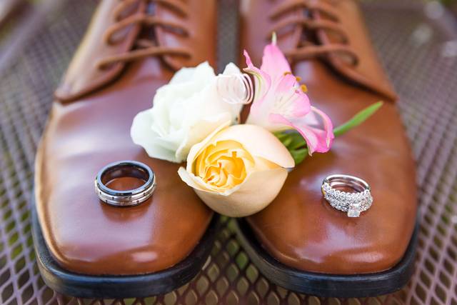 Collins Media & Design