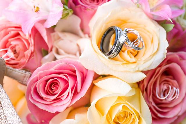 Collins Media & Design