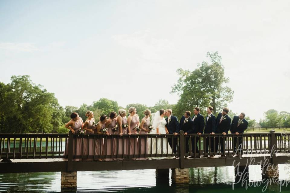 Wedding Party on Bridge