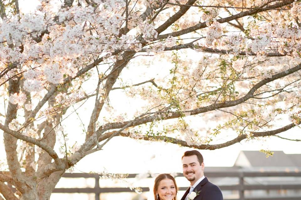 The Manor - March Blooms