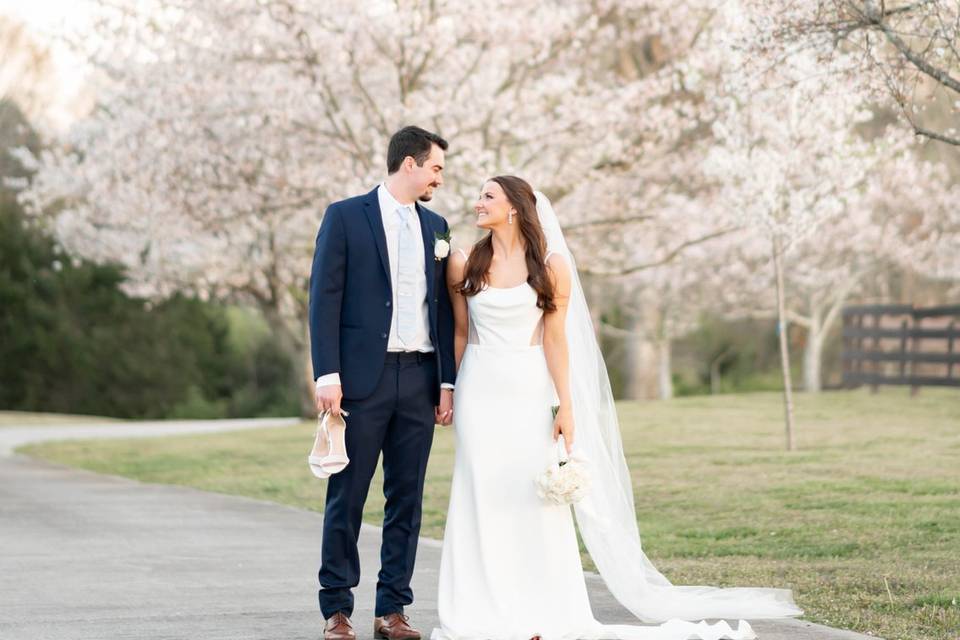 The Manor - March Blooms