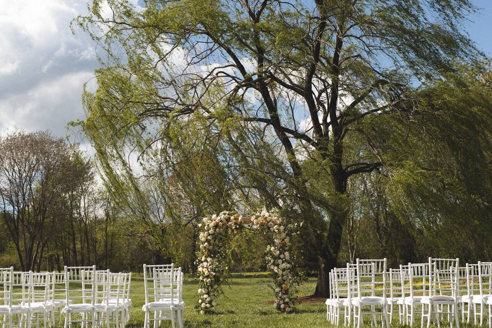 The Willows
