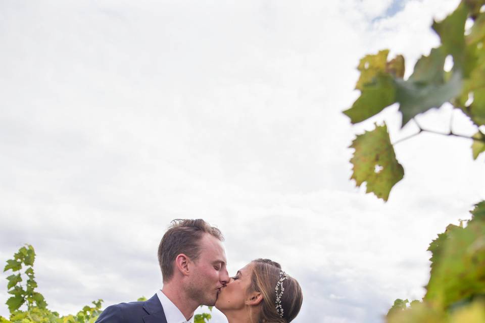 Kisses in the vineyard