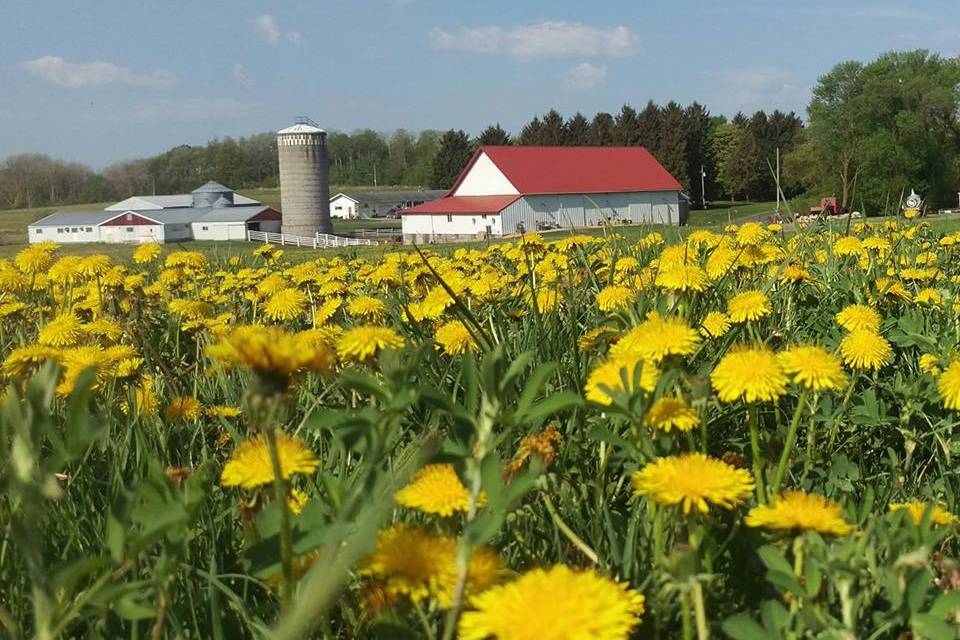 Springtime shot