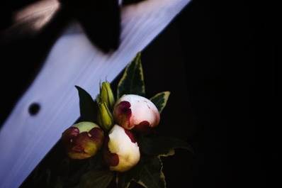 Boutonniere